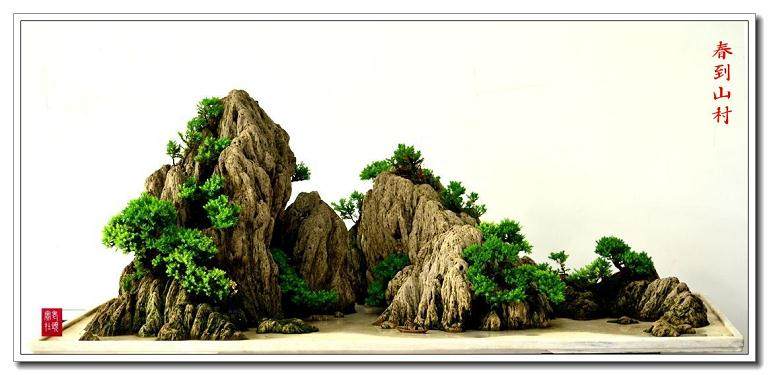 山水盆景的发展之路应起始于克服自身的不足