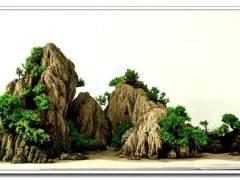 山水盆景的发展之路应起始于克服自身的不足