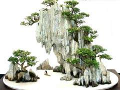 山水盆景的市场销售很有限