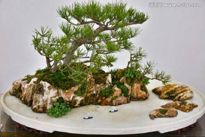 山水盆景作为中国盆景艺术的一个品类