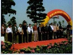 杭州怡然植物园的盆景市场价格也很便宜