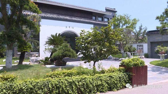 靖江山水盆景:引领中国山水盆景技艺