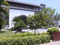 靖江山水盆景引领中国山水盆景技艺