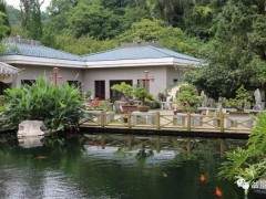 第八届云南省盆景艺术展成功举行