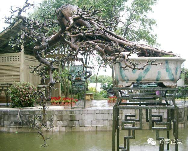 刘先银：中国盆景溯源