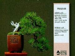 克罗地亚主办的第二届东南欧盆景研讨会