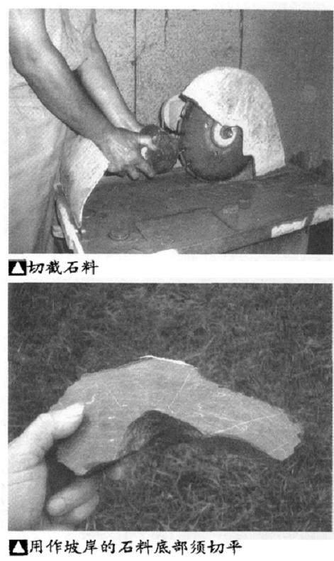 图解 怎么制作水旱盆景的5个基本方法