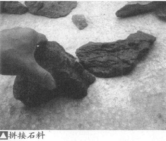图解 怎么制作水旱盆景的5个基本方法
