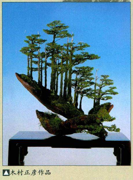 如何从自然资源中汲取盆景创作的语言？