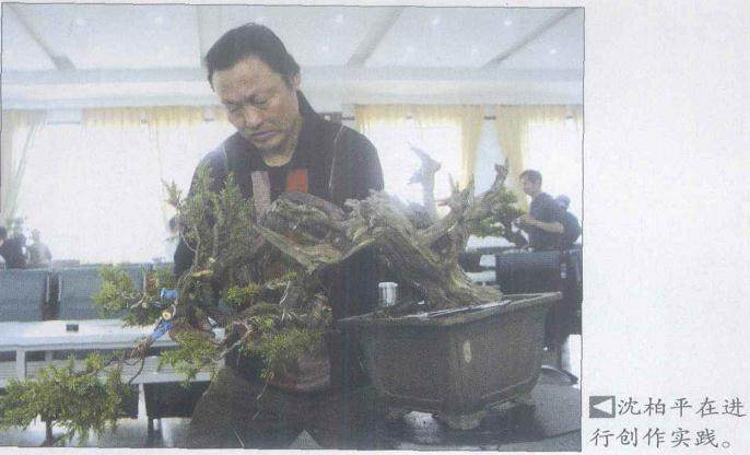 常州宝盛园协办的首届中国盆景高级研修班