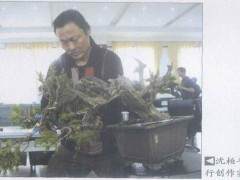 常州宝盛园协办的首届中国盆景高级研修班