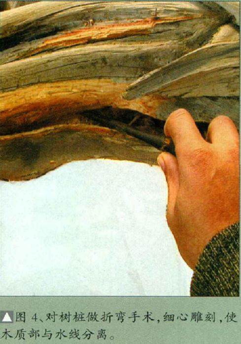 图解 柏树盆景怎么制作构思的方法