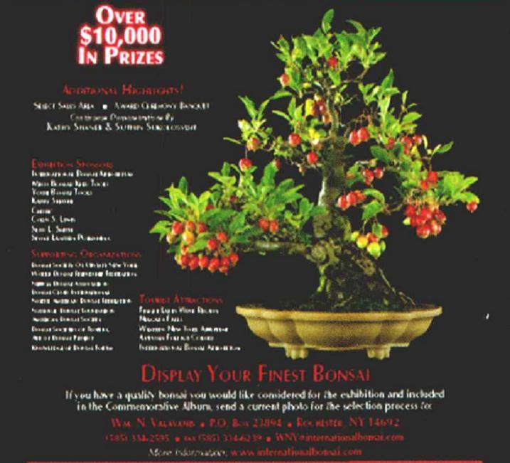 第一届美国盆景展在纽约州罗彻斯特市举行