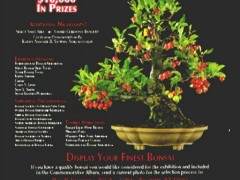 第一届美国盆景展在纽约州罗彻斯特市举行