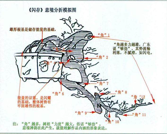 图解 我对怎么制作悬崖式盆景的理解