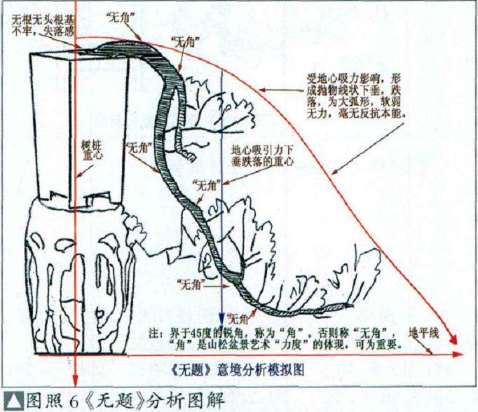图解 我对怎么制作悬崖式盆景的理解