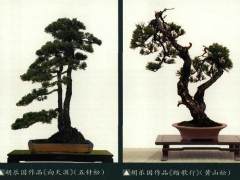 《胡乐国盆景作品》书日前由浙江大学出版社出版发行