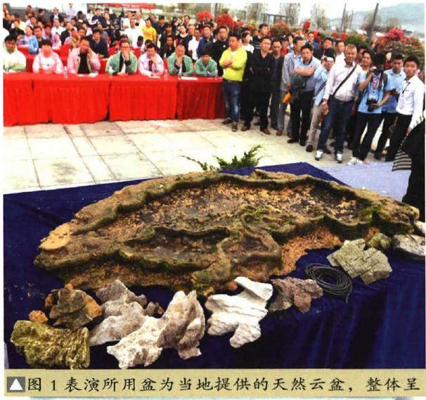 山东花卉盆景奇石艺术家协会