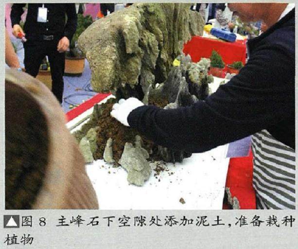 图解 山水盆景《苍岩远眺》怎么制作的13个步骤