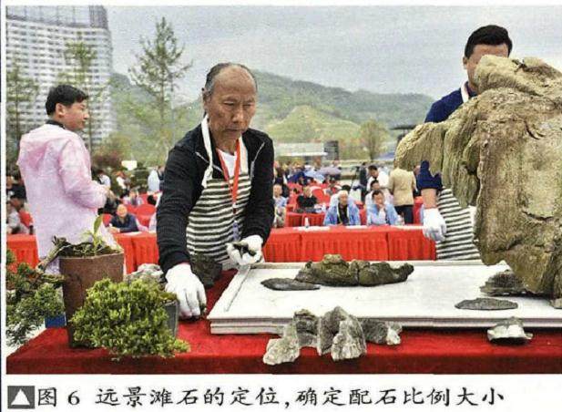 图解 山水盆景《苍岩远眺》怎么制作的13个步骤