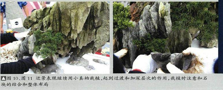 图解 山水盆景《苍岩远眺》怎么制作的13个步骤