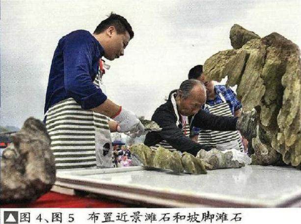 图解 山水盆景《苍岩远眺》怎么制作的13个步骤