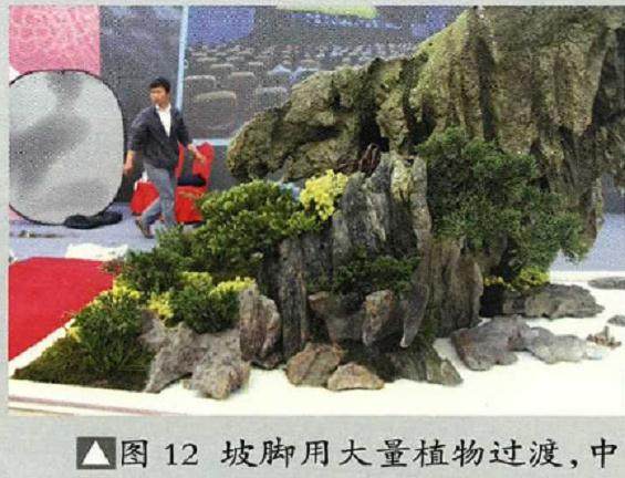 图解 山水盆景《苍岩远眺》怎么制作的13个步骤