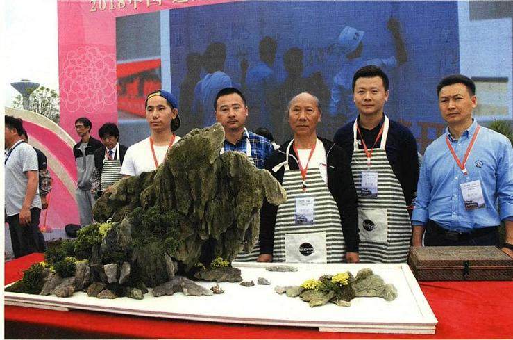 图解 山水盆景《苍岩远眺》怎么制作的13个步骤