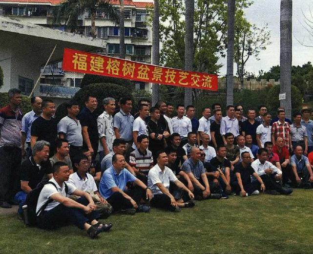 厦门盆景花卉协会举办榕树盆景技艺交流活动