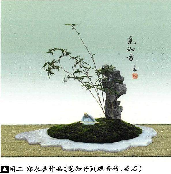 竹草类盆景的制作(竹子篇续)之五