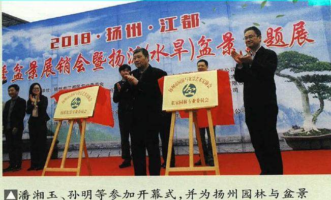 2018扬派水旱盆景主题展曁春季盆景展销会掠影