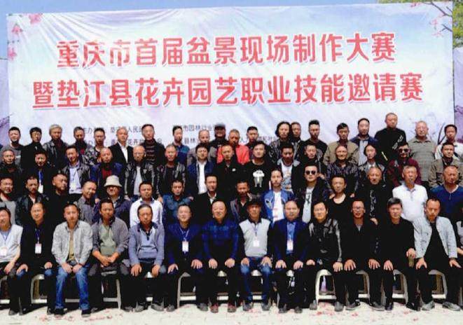 重庆市举办第十二届盆景艺术展暨精品兰花艺术展