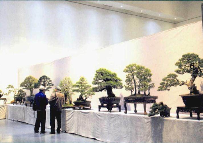 2018江苏盆景精品展暨中日韩盆景文化交流盛典