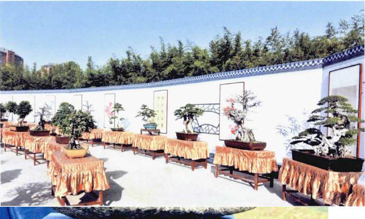 南阳举办第九届南阳月季花会书画盆景展