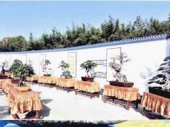 南阳举办第九届南阳月季花会书画盆景展