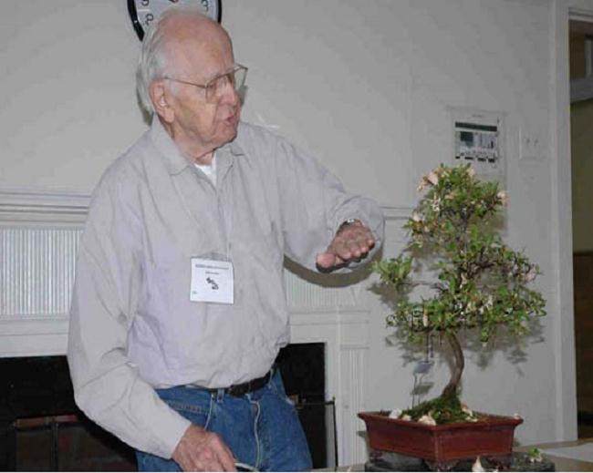 比尔对盆景的态度非常独特 他喜欢收集种子
