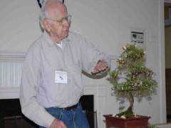 比尔对盆景的态度非常独特 他喜欢收集种子