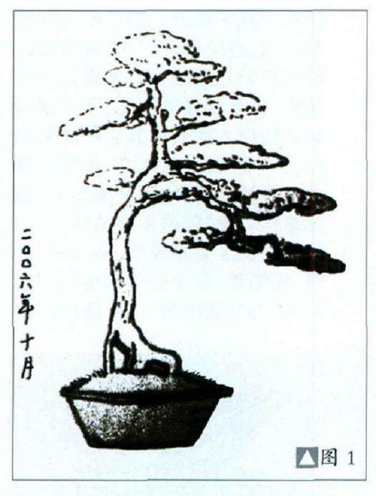 如皋花卉市场购得一盆雀舌罗汉松盆景