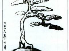 如皋花卉市场购得一盆雀舌罗汉松盆景