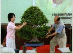 首届中国盆景高级研修班第二班在常州宝盛园举办
