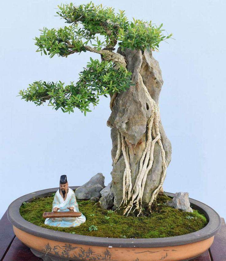 2008年武汉花卉盆景奇石根艺书画展览