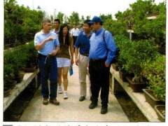 国际树木种植学会代表团访问了中国唐苑盆景园