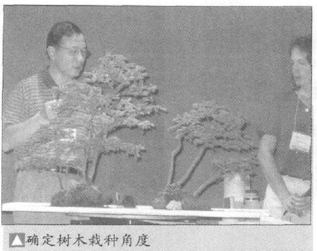 图解 怎么制作水旱盆景的15个步骤