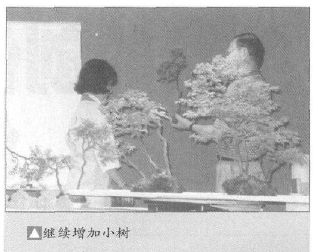 图解 怎么制作水旱盆景的15个步骤