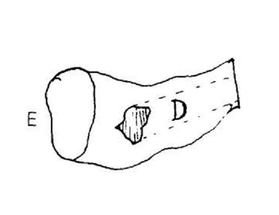 图解 以下几个因素影响着盆景的成活率