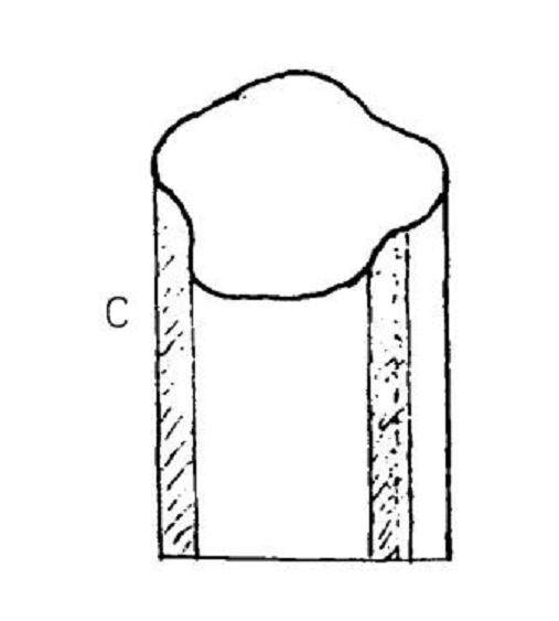 图解 以下几个因素影响着盆景的成活率