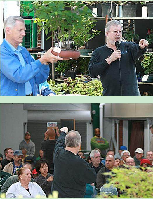 波托马克盆景协会收取20%的盆景拍卖佣金