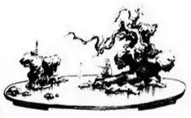 图解 山水盆景怎么制作的5个步骤