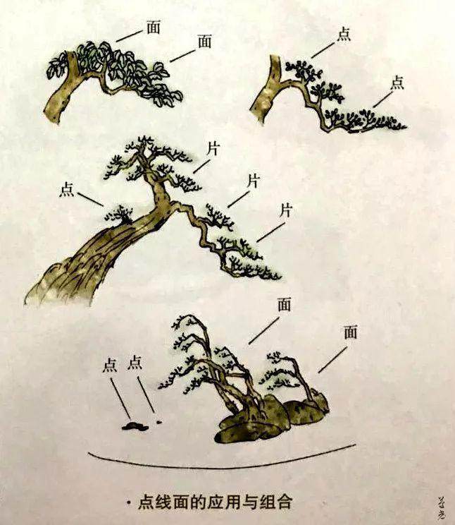 图解 制作盆景应注意点线片廓4个方面的统一