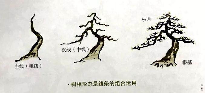 图解 制作盆景应注意点线片廓4个方面的统一